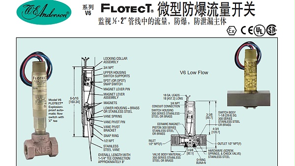 防爆流量开关-图1